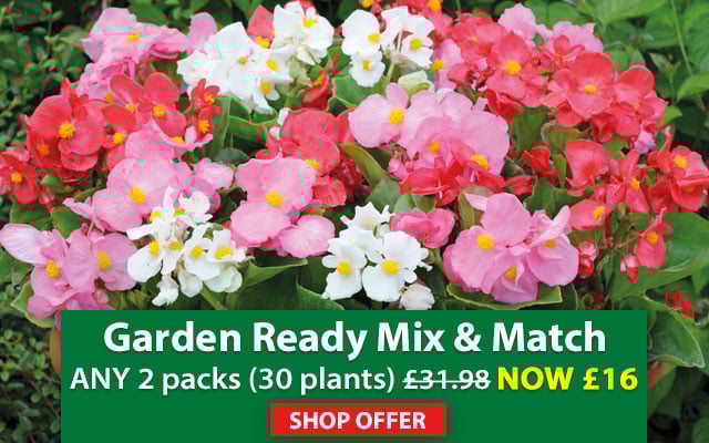 Garden Ready Mix & Match